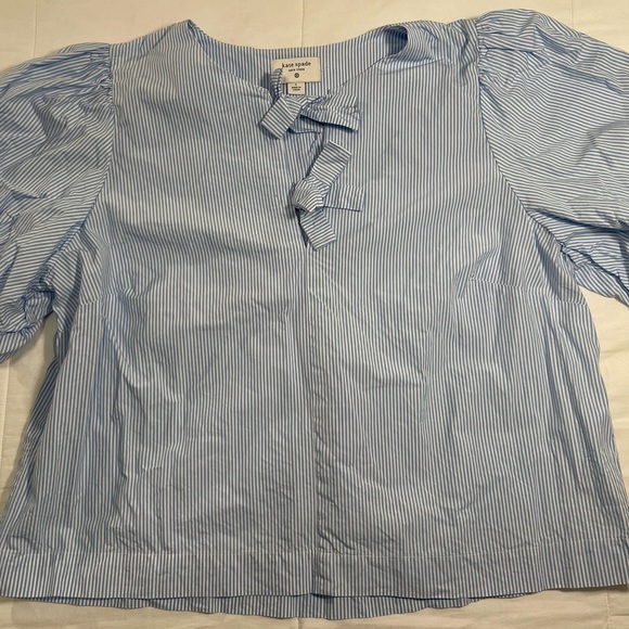 Kate Spade X Target Blue/ White Striped Croquette Puff Sleeve Blouse Large - Picture 2 of 4